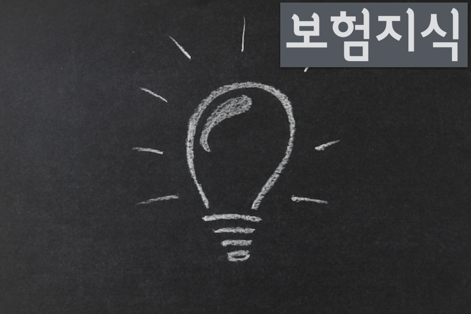 보험 지식