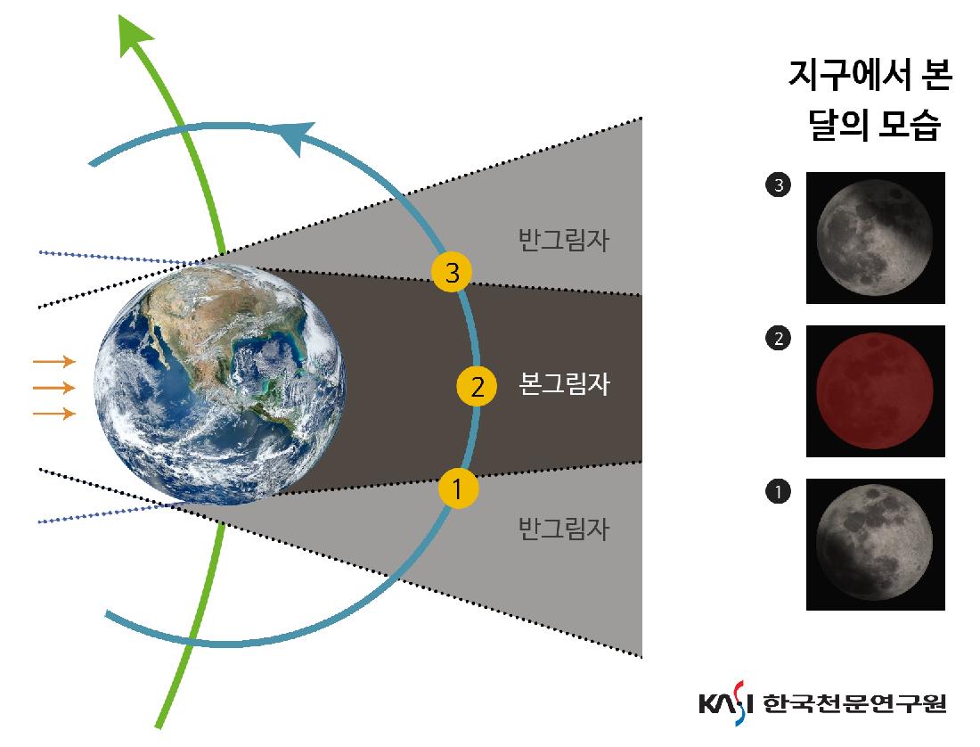 블러드 문