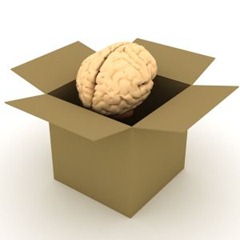brain