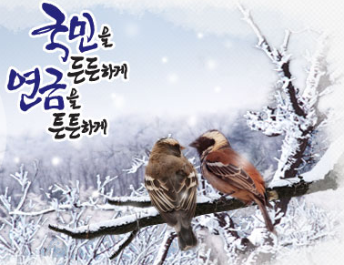 국민연