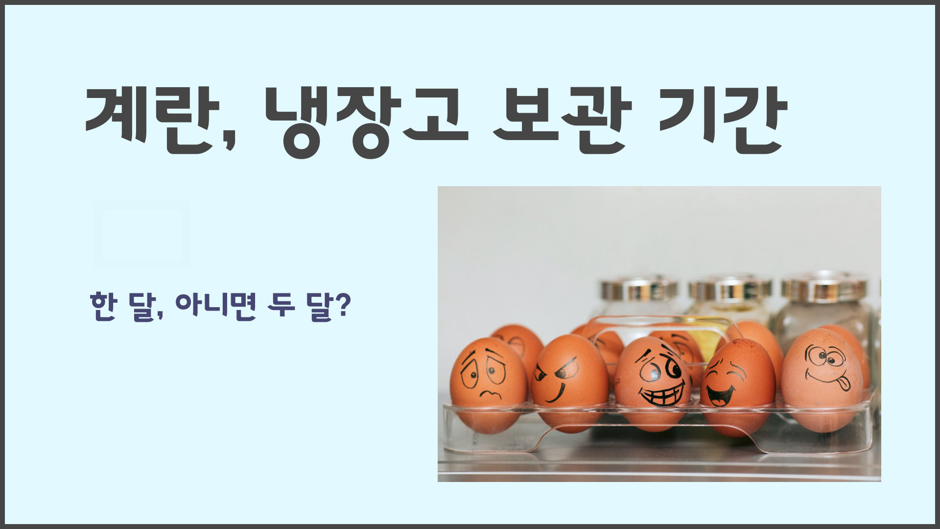 계란 냉장고 보관 기간