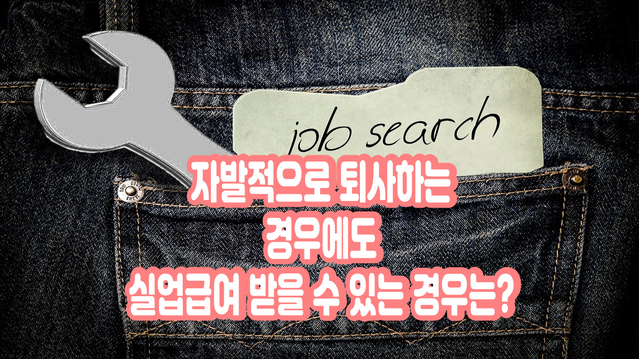 자발적 퇴사 실업급여